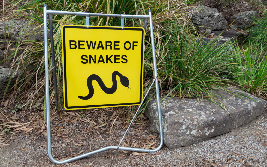 Image: Paramedic Paul Spinks discusses what to do if bitten by a snake.